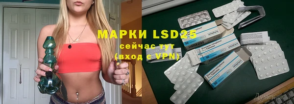 прущий лед Богданович