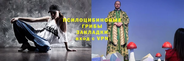 прущий лед Богданович